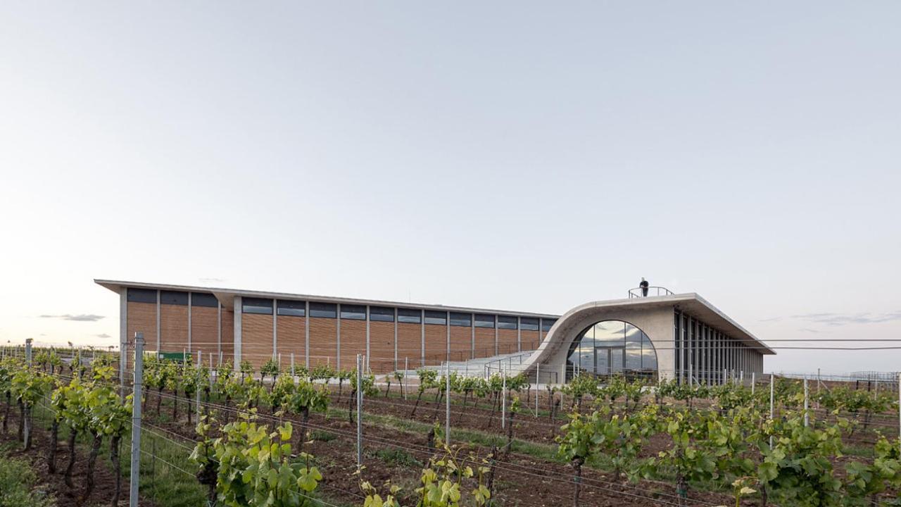 Wine House Znojmo Villa Exterior photo